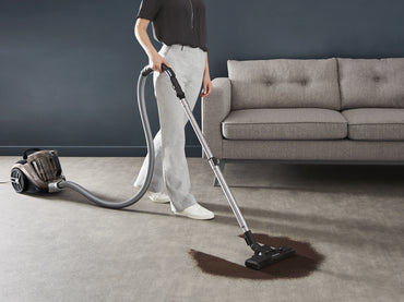 Aspirador de trenó Rowenta Compact Power XXL RO4B30EA/ 900W