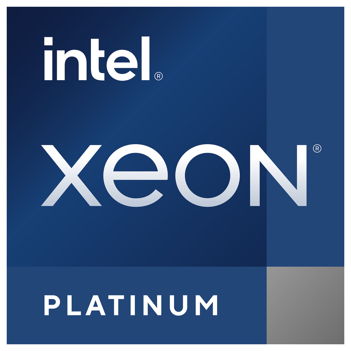 Intel S4677 XEON Platinum 8461V TRAY 48x2,2 300W - Intel