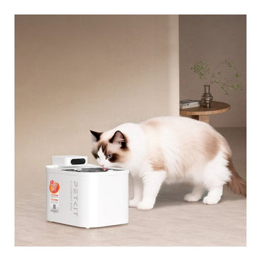 Fonte de Água Eversweet Max 2 Smart Pet Drinking Fountain