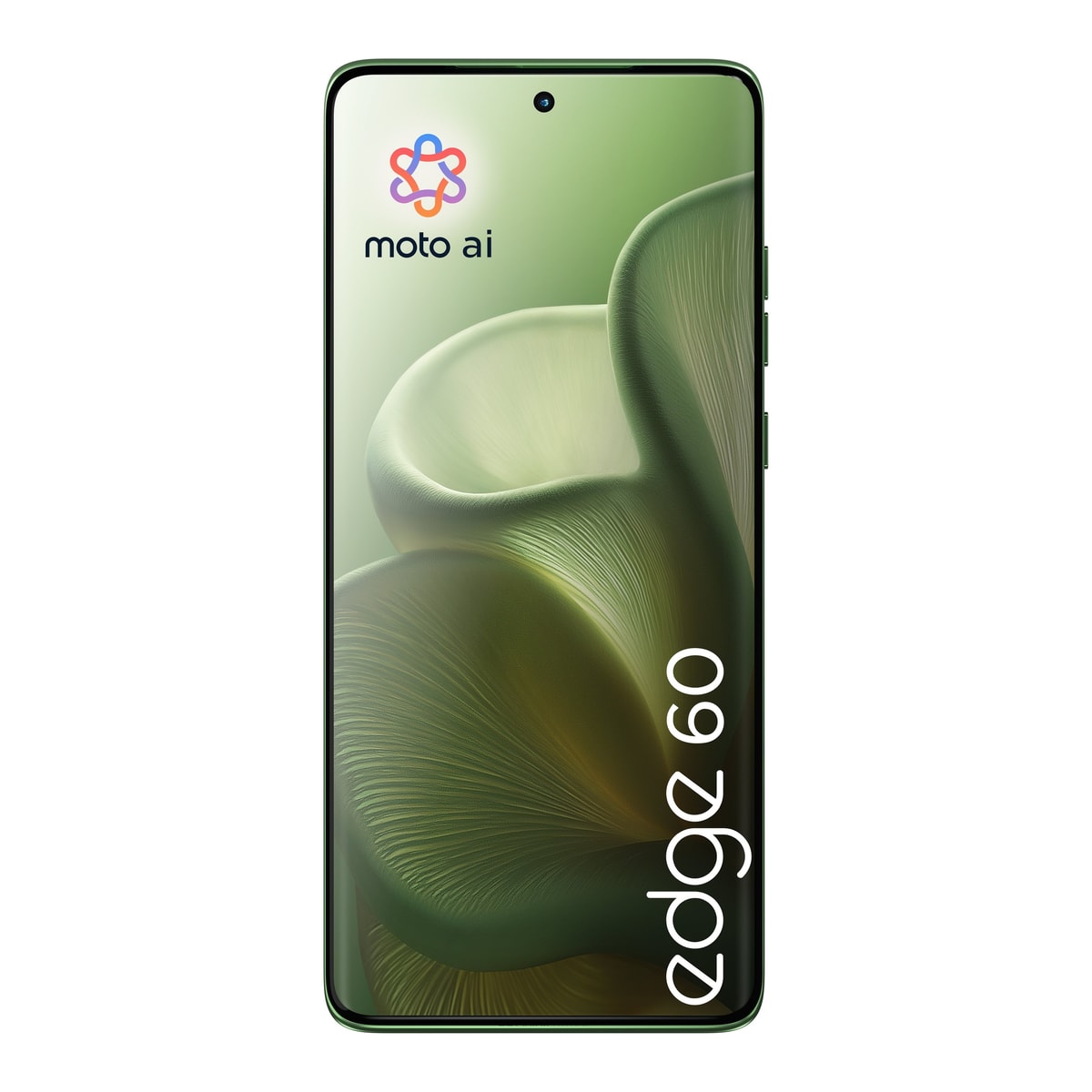 Smartphone Motorola XT2505-1 Moto Edge 60 5G 8GB RAM 512GB - Pantone Shamrock