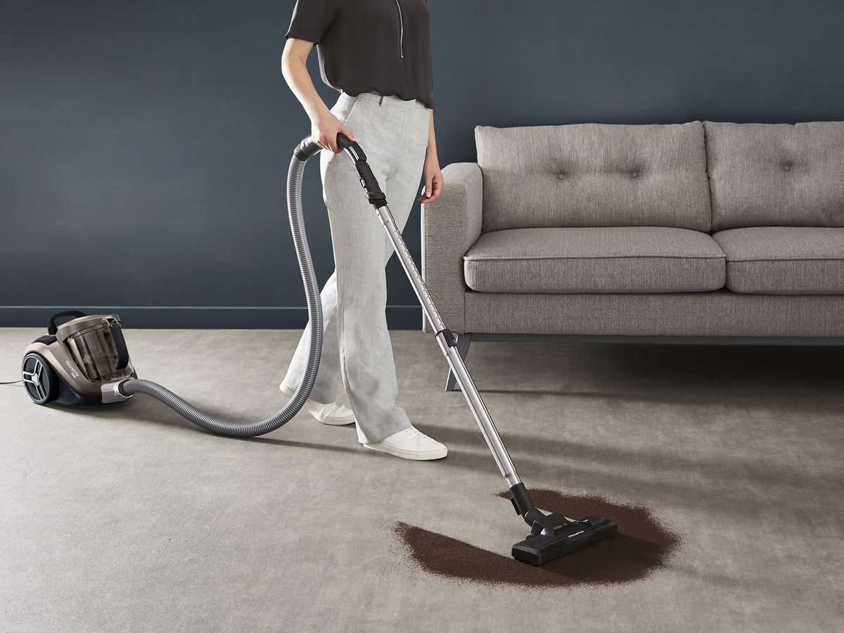 Aspirador de trenó Rowenta Compact Power XXL RO4B30EA/ 900W