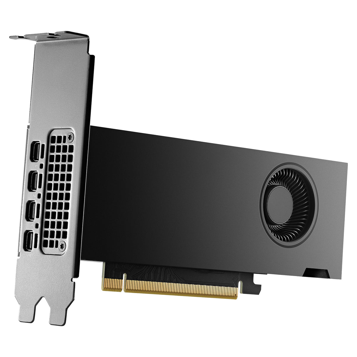 Quadro RTX 2000 ADA 16GB PNY (Small Box) - PNY
