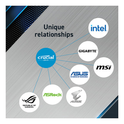 5600 48GB KIT Crucial 24GBx2 - Crucial
