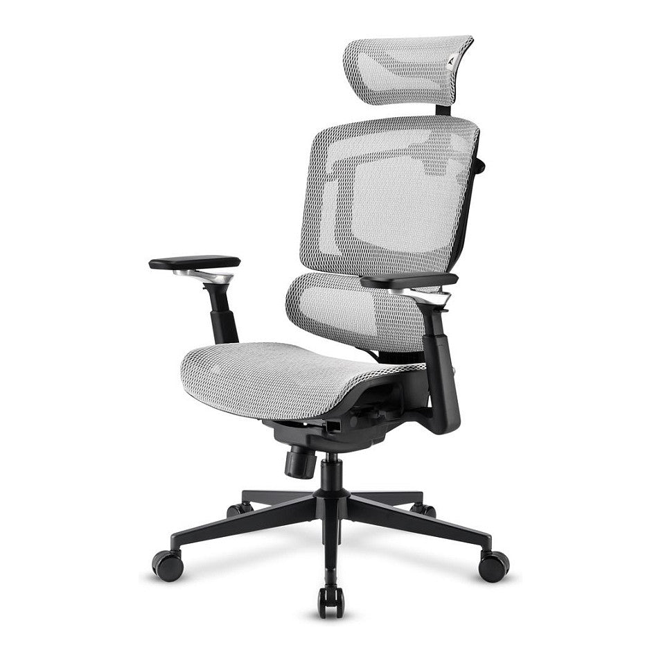Cadeira Gaming SHARKOON OfficePal C50M cinzento - SHARKOON