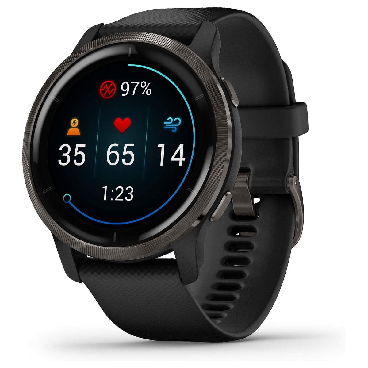 Smartwatch Garmin Venu 2 45 mm Preto - Garmin