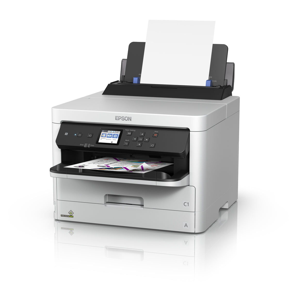 Epson Ink T01D1 / C13T01D100 preto XL - imagem 9