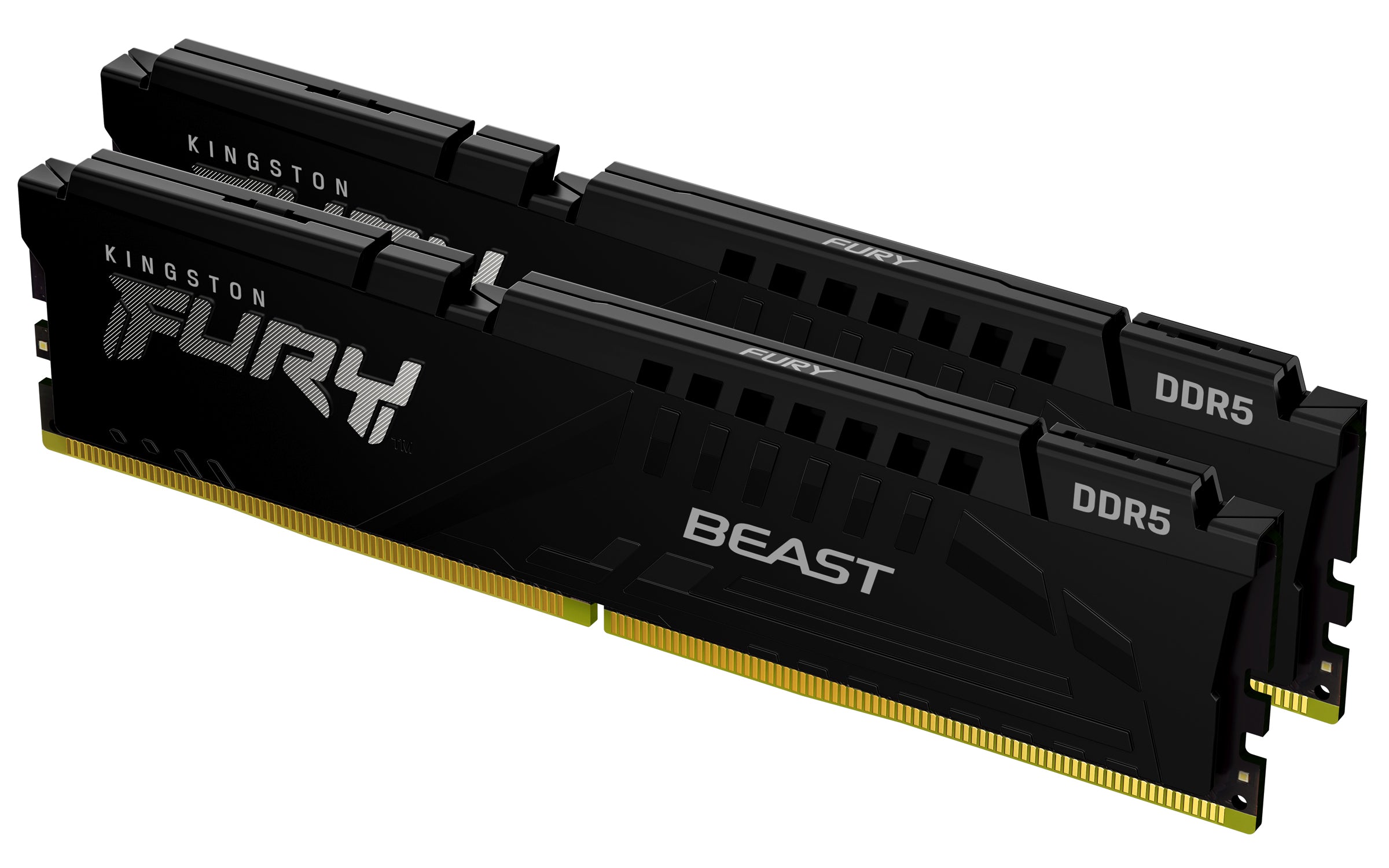 Memória RAM Kingston FURY Beast preto K2 - 64 GB (2 x 32 GB Kit)