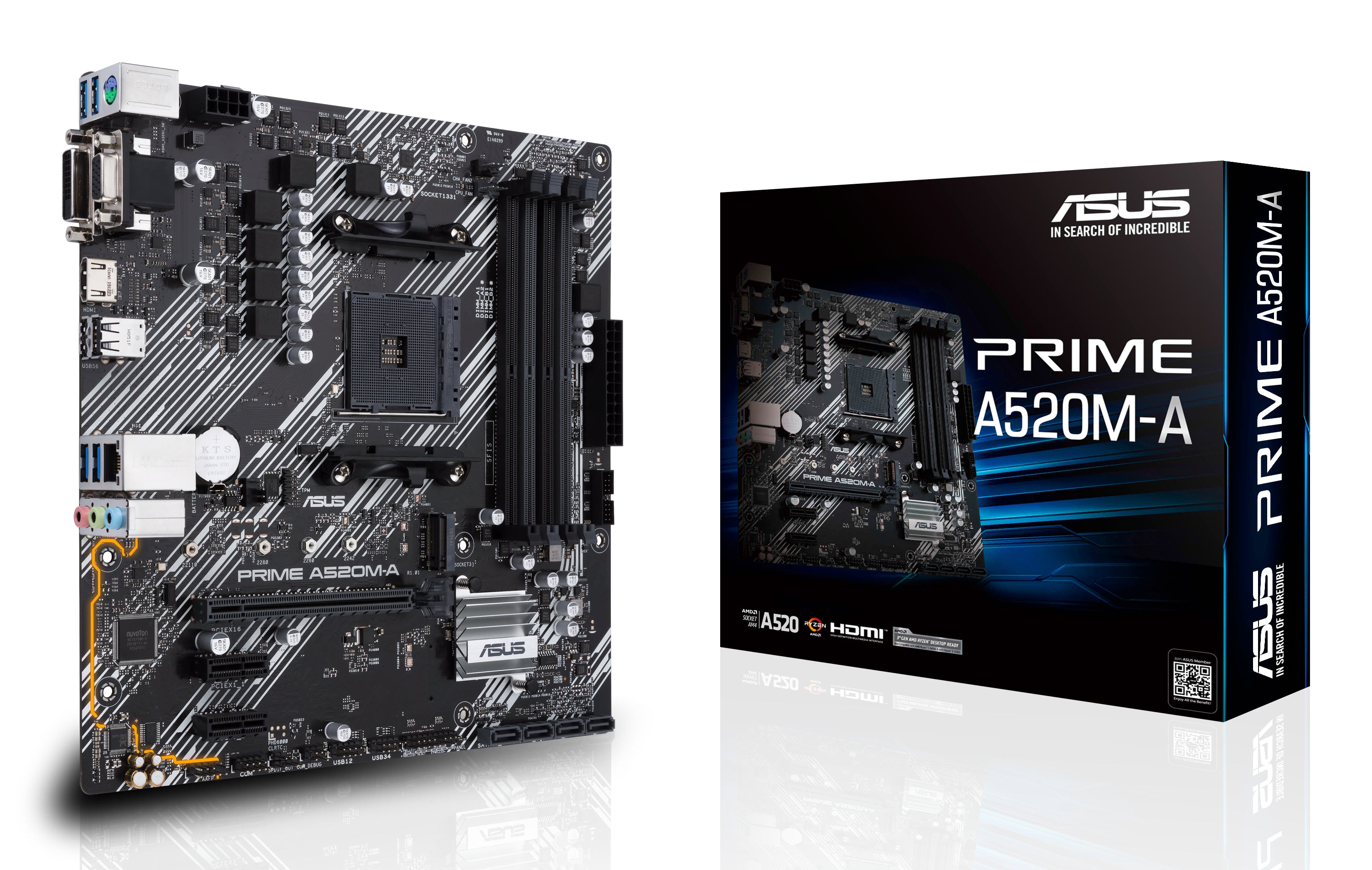 Asus Placa Base PRIME A520M-A II CSM mATX AM4