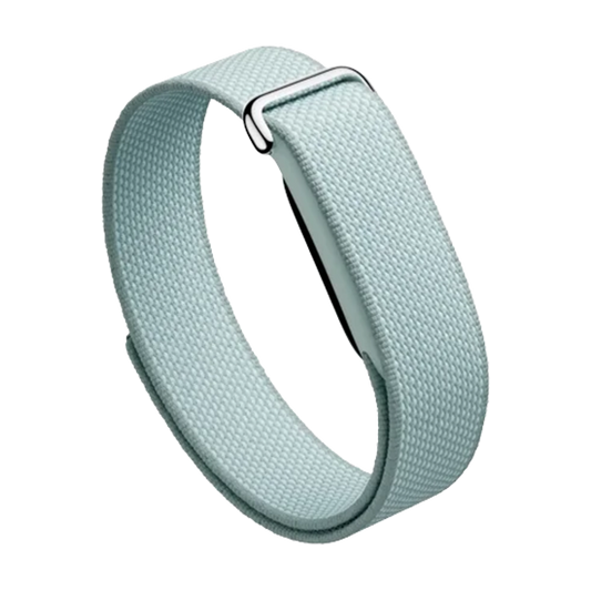 Watch Google Fitbit Air - Fog