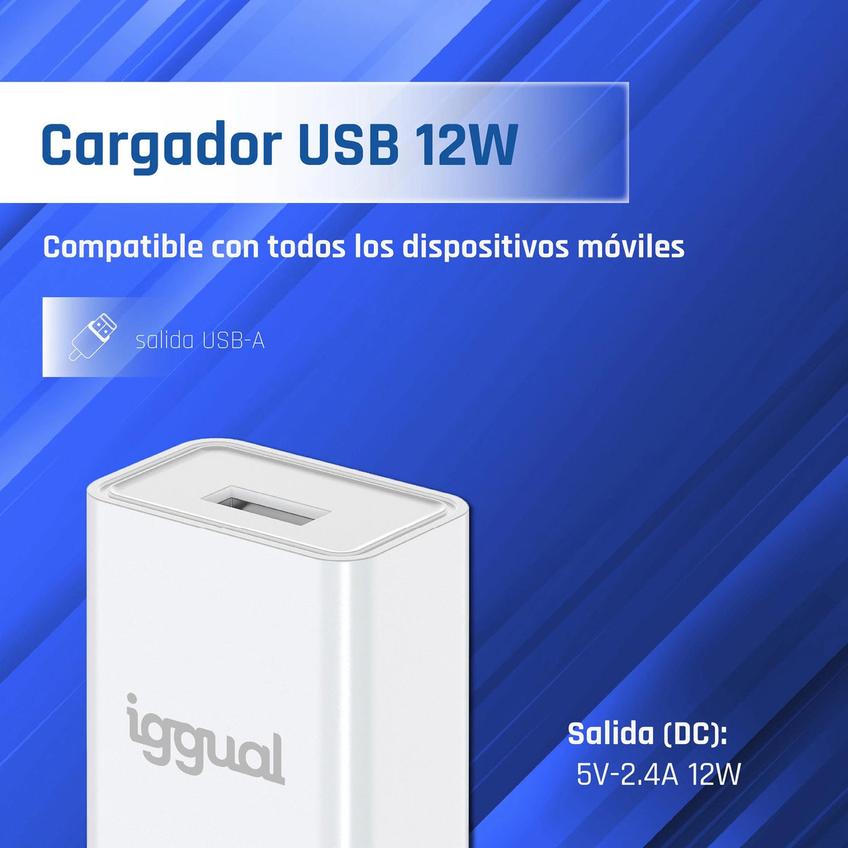 iggual Carregador de Parede 1xUSB-A 5V/2.4A (12W) - imagem 3