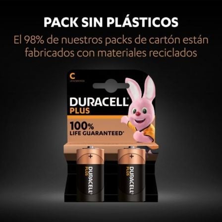 Pack de 2 Pilhas C Duracell LR14 / 1.5V / Alcalinas