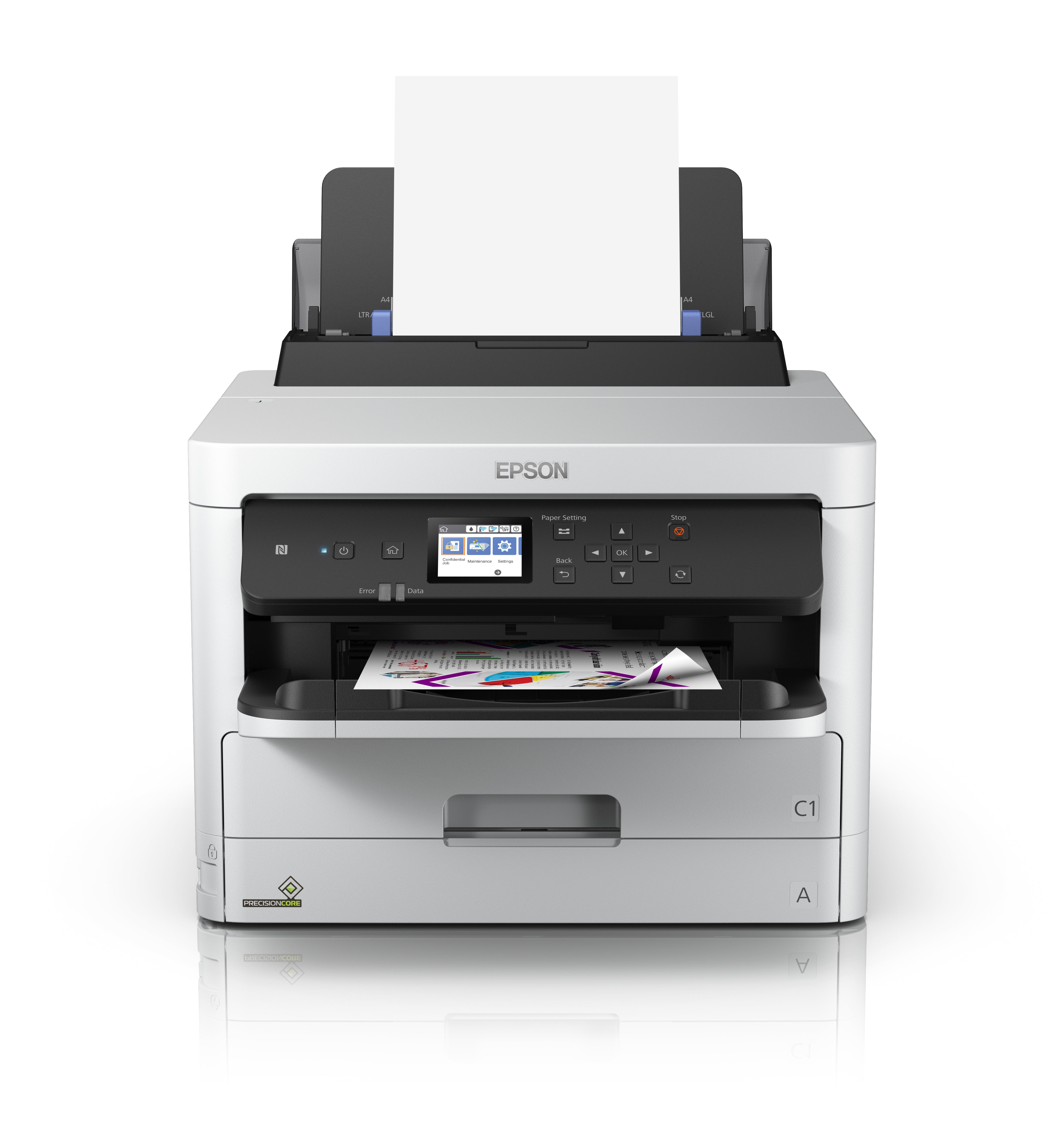 Epson Ink T01C1 / C13T01C100 preto Standard