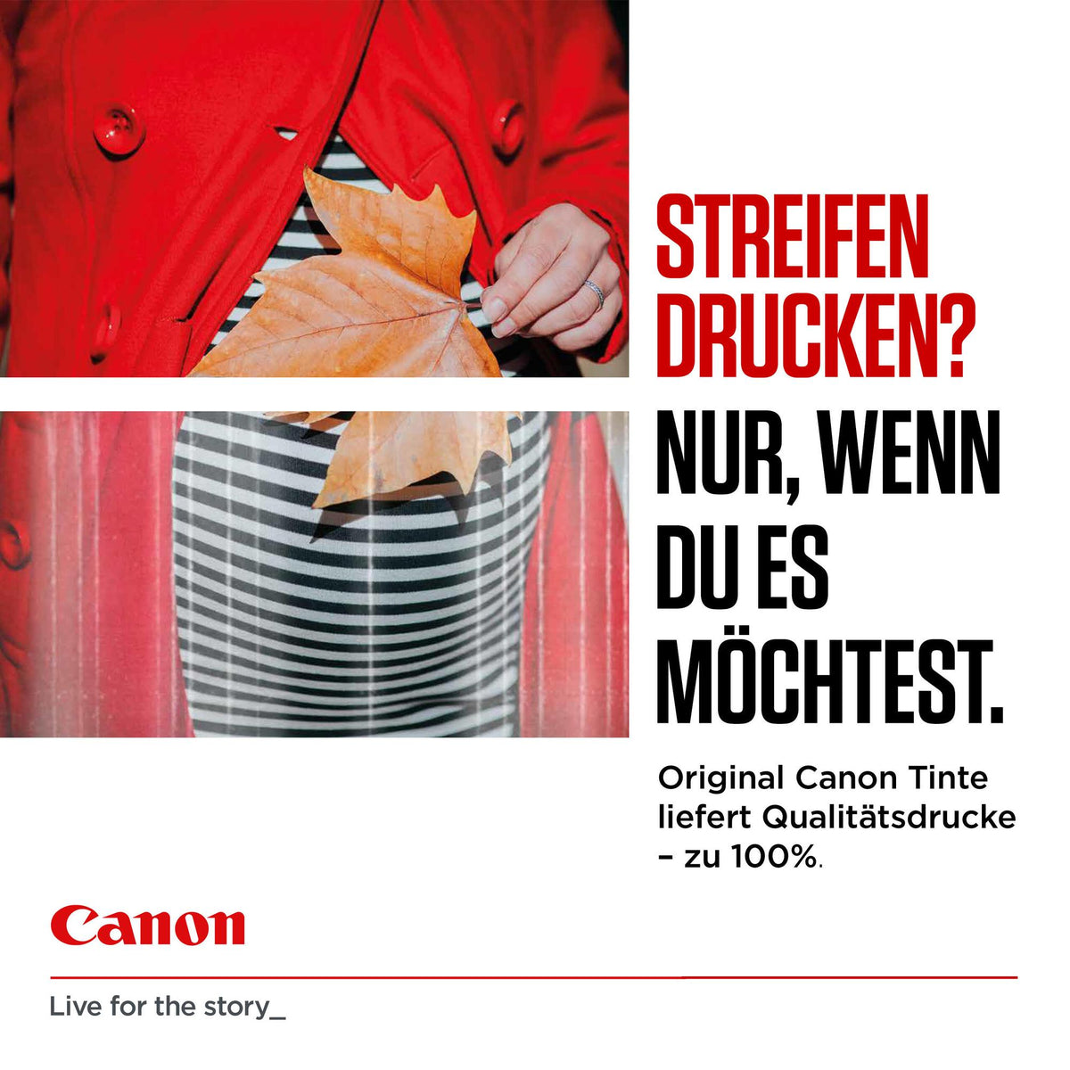 Canon Ink PGI-1500 / 9218B006 BK,C,M,e Standard - imagem 6