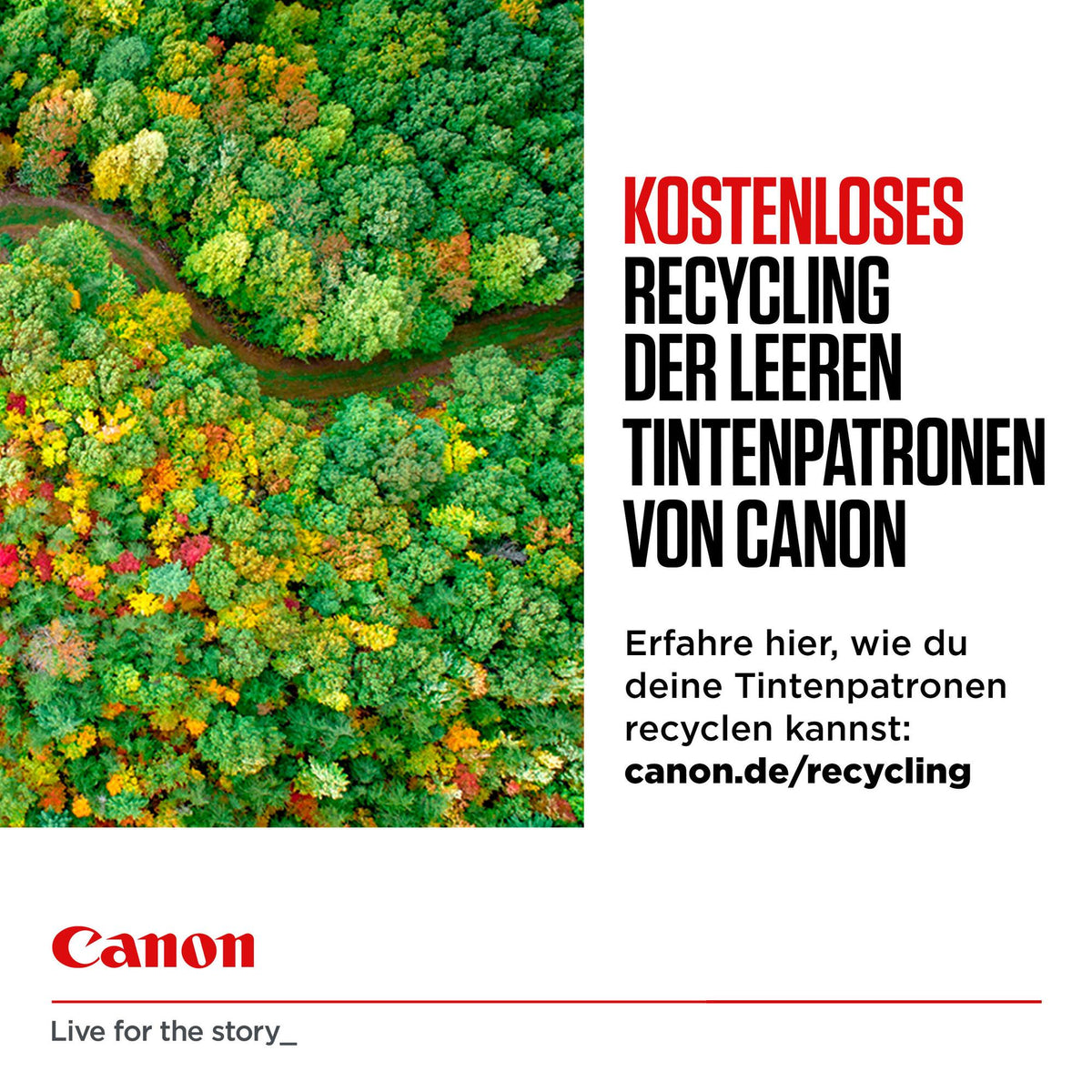 Canon Ink PG-560XL/CL-561XL / 3712C009 BK,C,M,e XL Multipack - imagem 9