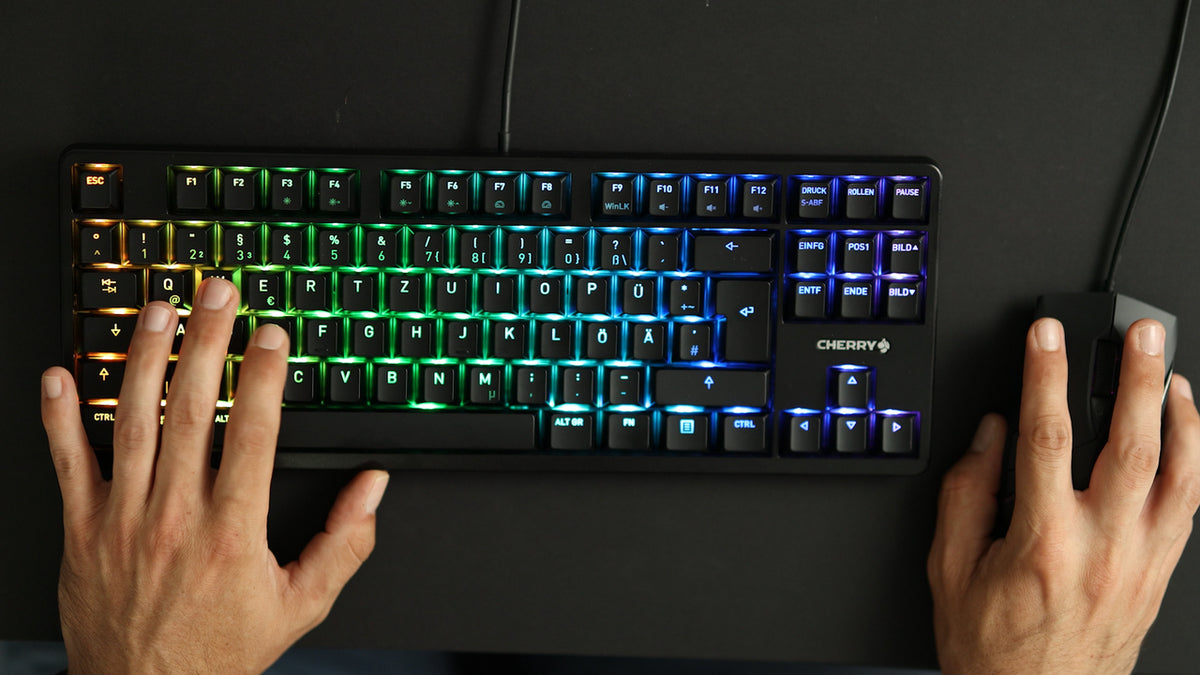 Teclado CHERRY G3833B / G80-3833LWBDE-2 preto - imagem 7