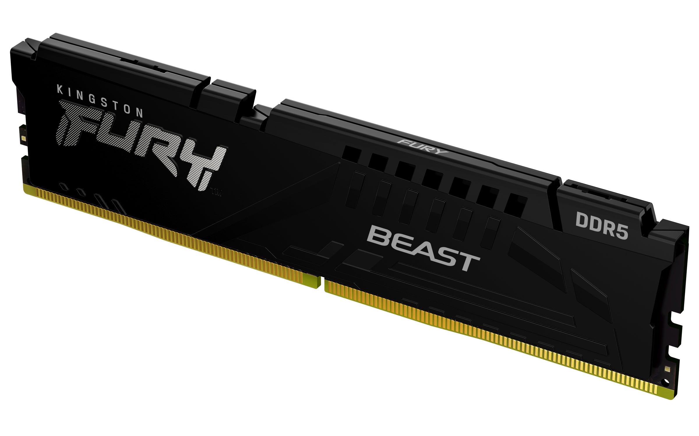 Memória RAM Kingston FURY Beast preto EX - 16 GB