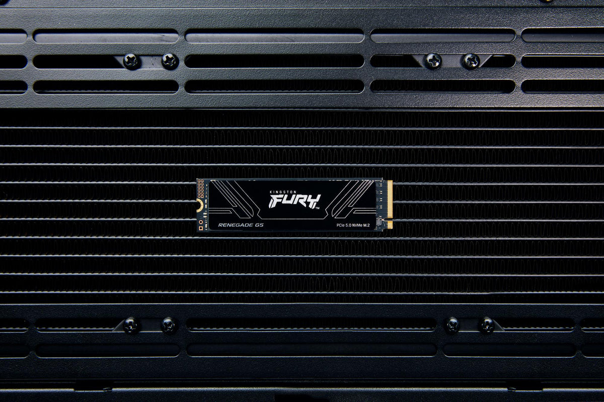 Disco SSD Kingston M.2 Fury Renegade 5.0 1024GB / SFYR2S/1T0 - imagem 13