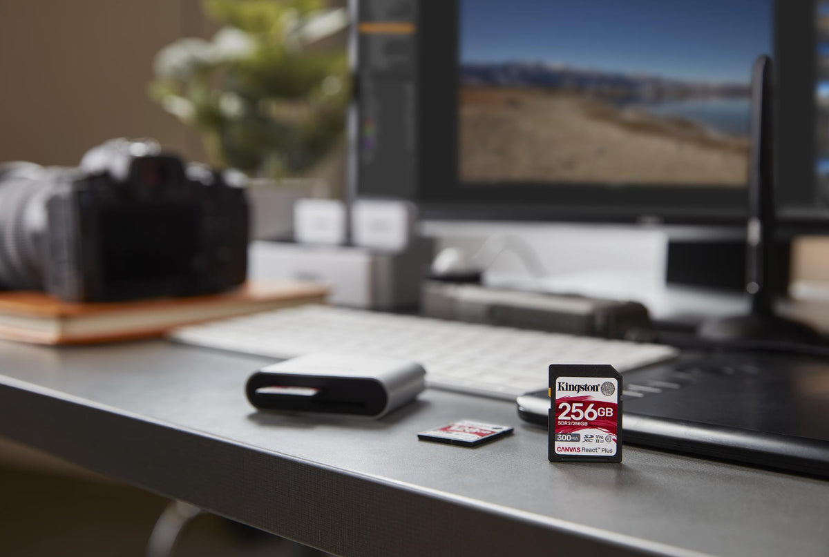 Cartão de Memória Kingston Cartão SD Canvas React Plus 256GB V90 / SDR2/256GB preto - imagem 11