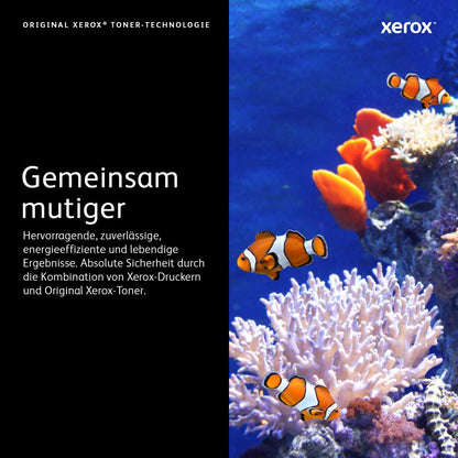 Xerox Toner 106R03531 Magenta XXL - imagem 12