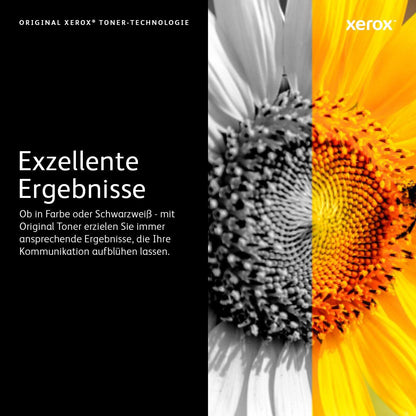 Xerox Toner 106R03531 Magenta XXL - imagem 8