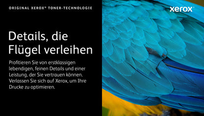 Xerox Toner 106R03473 Cyan Standard - imagem 6
