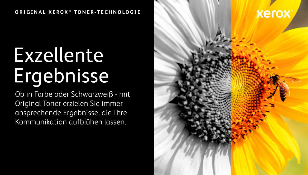 Xerox Toner 106R03473 Cyan Standard - imagem 10