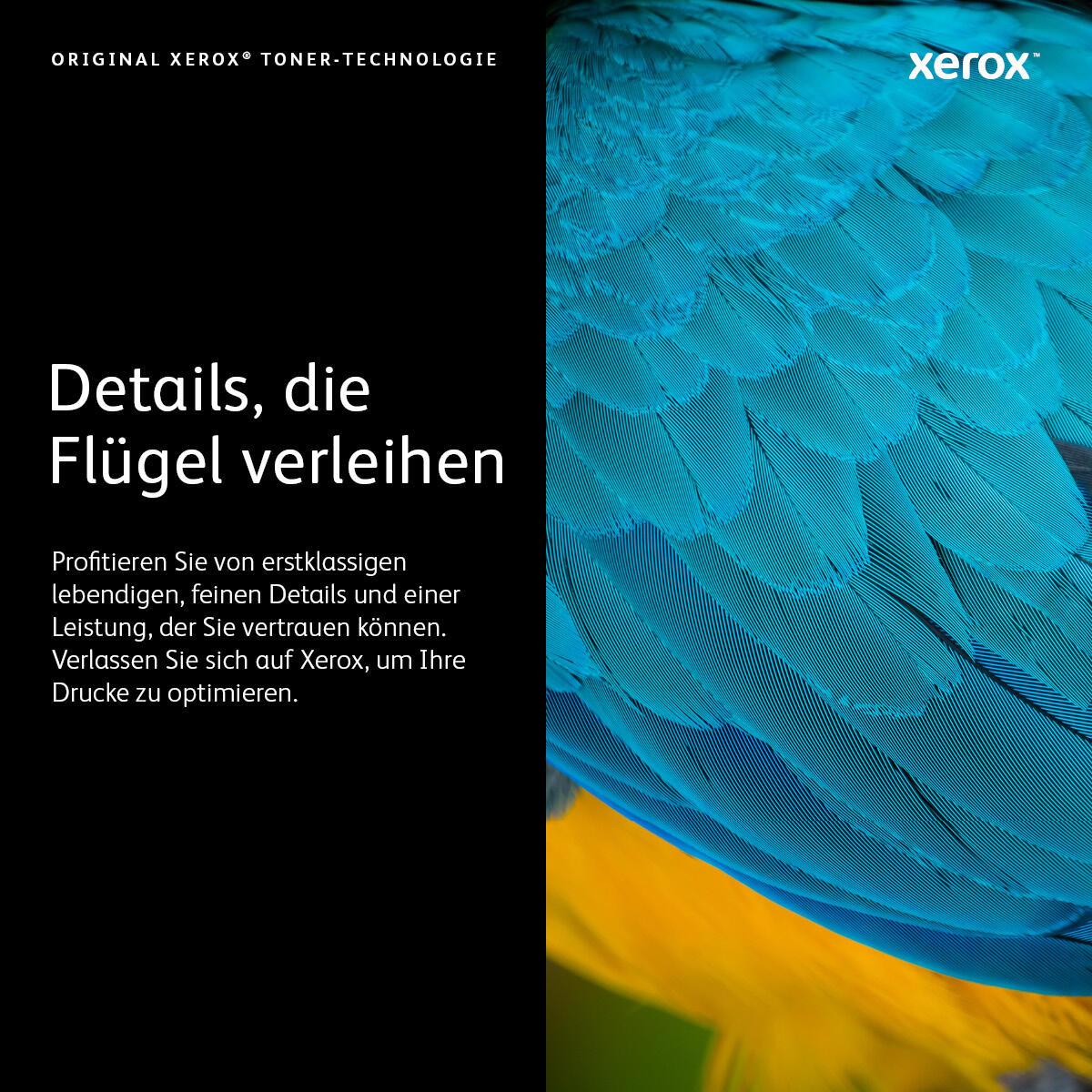 Xerox Toner 006R01516 Cyan Standard - imagem 4